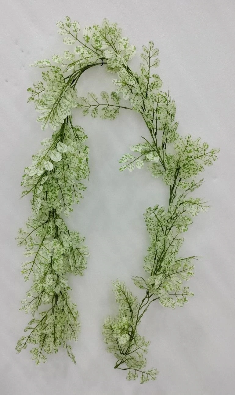Hoya Eucliptus Leaf 1x9 Creeper 180cm